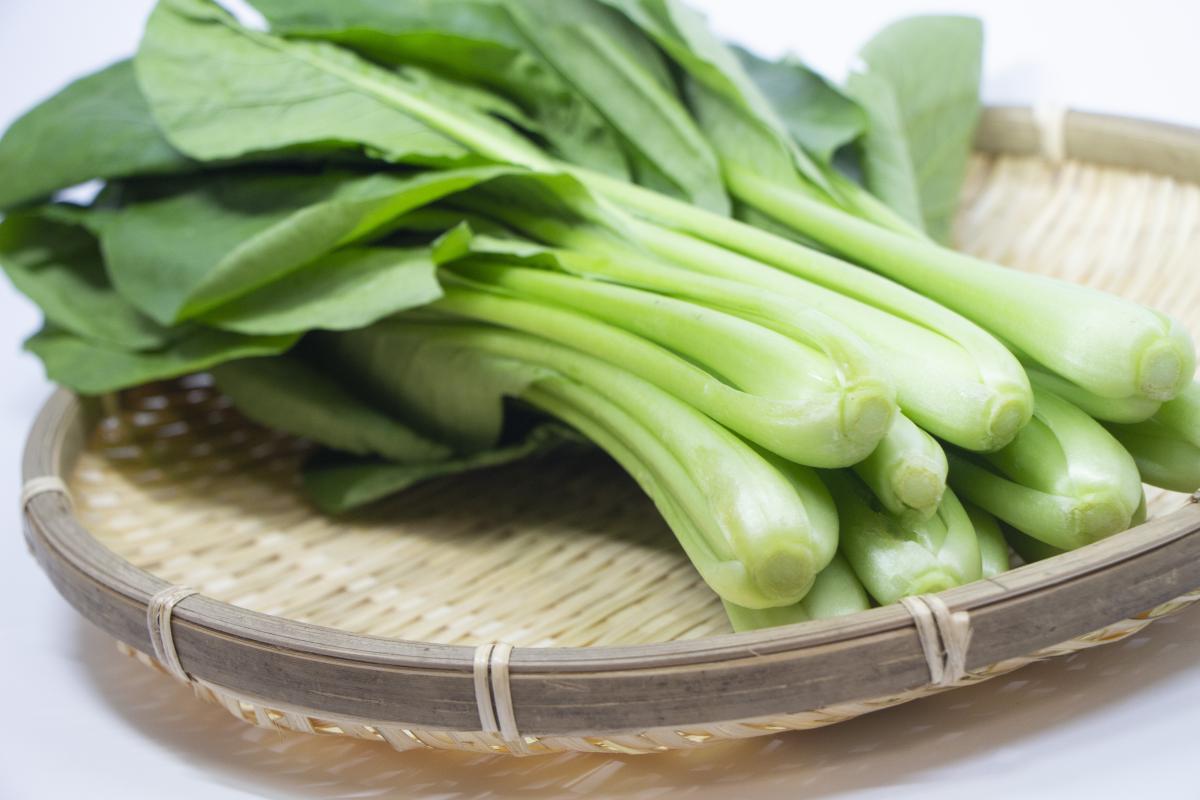 小松菜の栄養｜3分でわかる栄養コンシェルジュと小松菜の日に学ぶ栄養豆知識