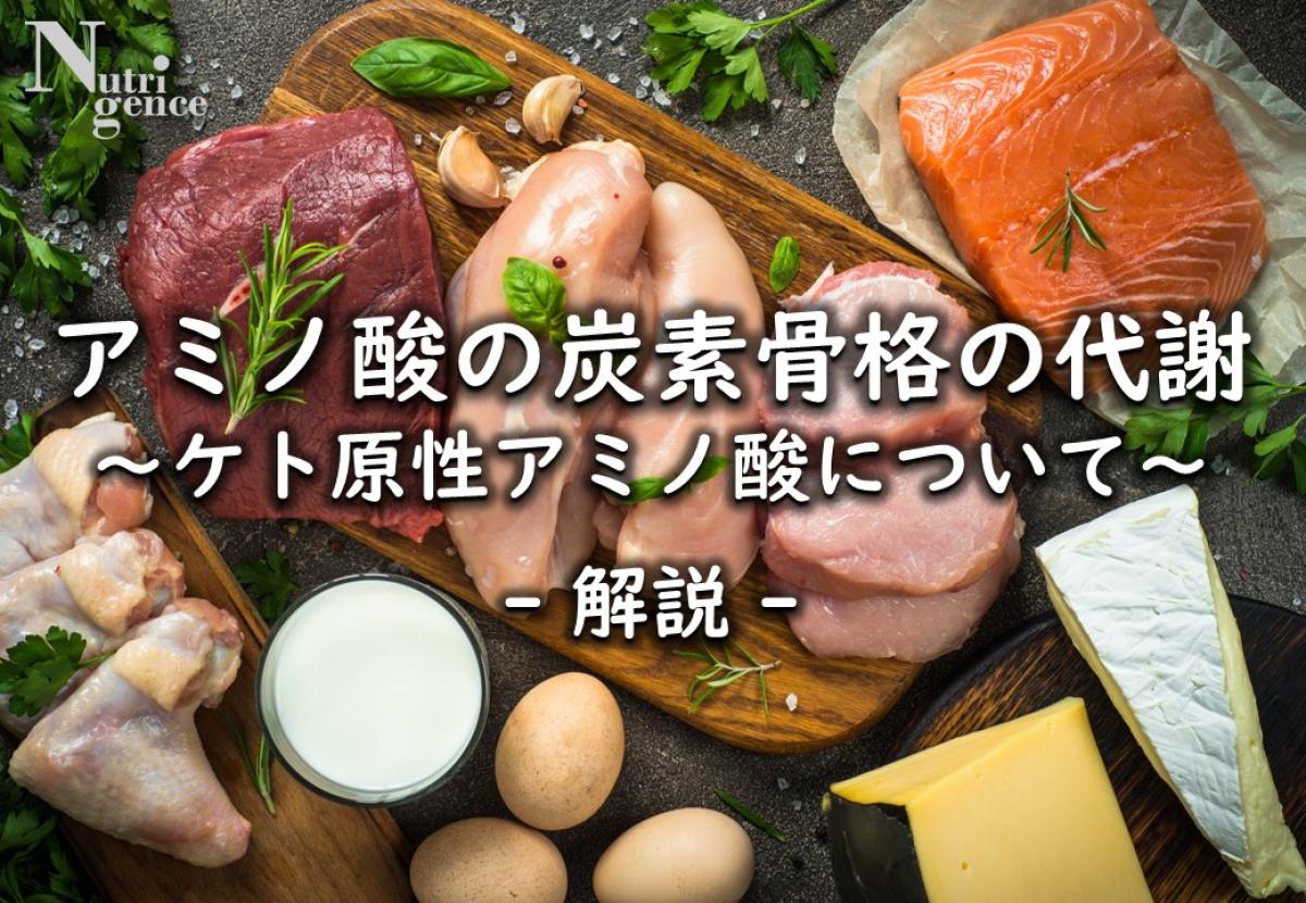 いつ摂取するか