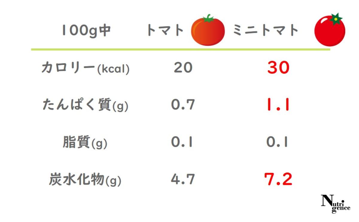 トマト,ミニトマト,カロリー,三大栄養素,たんぱく質,脂質,炭水化物