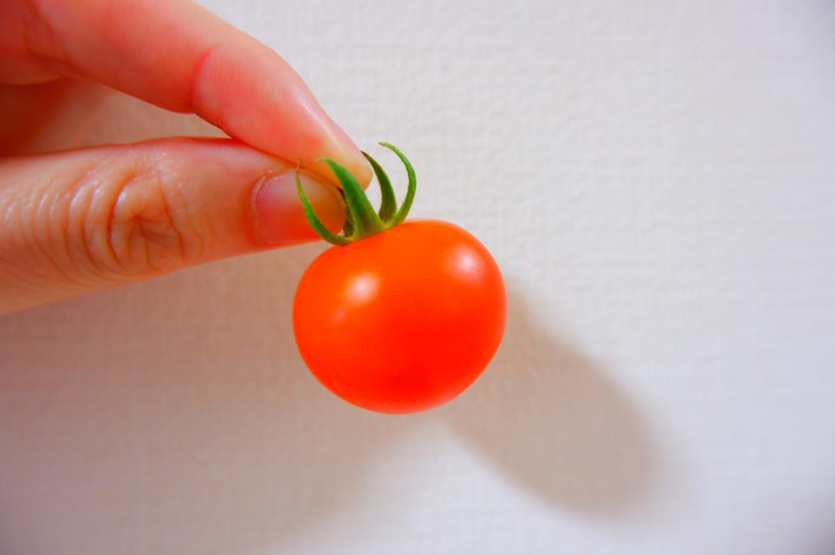 ミニトマト,プチトマト