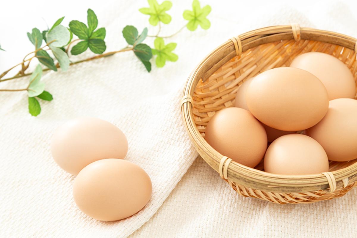 【管理 栄養士 監修】たまごのカロリーや栄養、烏骨鶏卵やうずら卵との違いなどについて栄養コンシェルジュがご紹介
