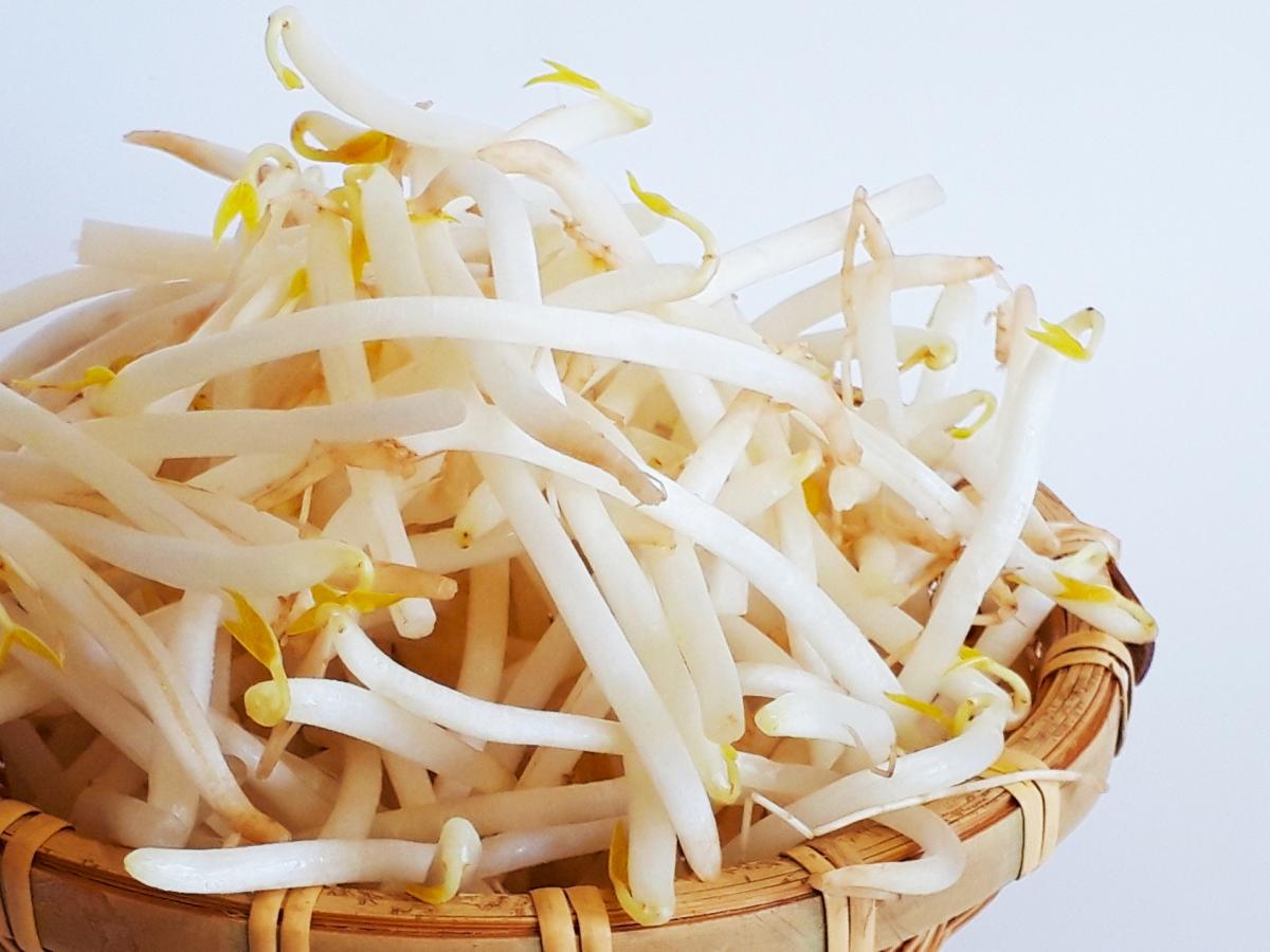【管理 栄養士 監修】もやしのカロリーや栄養、大豆もやしと緑豆もやしの違いなどについて栄養コンシェルジュがご紹介