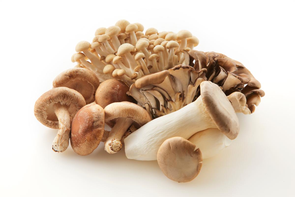 小学館『CanCam』掲載 管理栄養士・廣瀬直樹先生が伝える、女性の味方「きのこダイエット」　― 栄養コンシェルジュ&reg;が教える 食べてキレイになる 実践栄養 ―