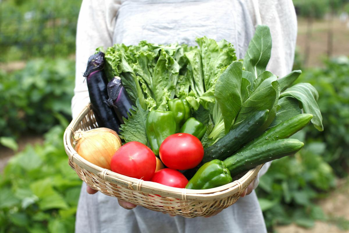 栄養コンシェルジュと学ぶ野菜と栄養 vol.2　～ダイエット目的における野菜（食物繊維）の働きと食べる順番～