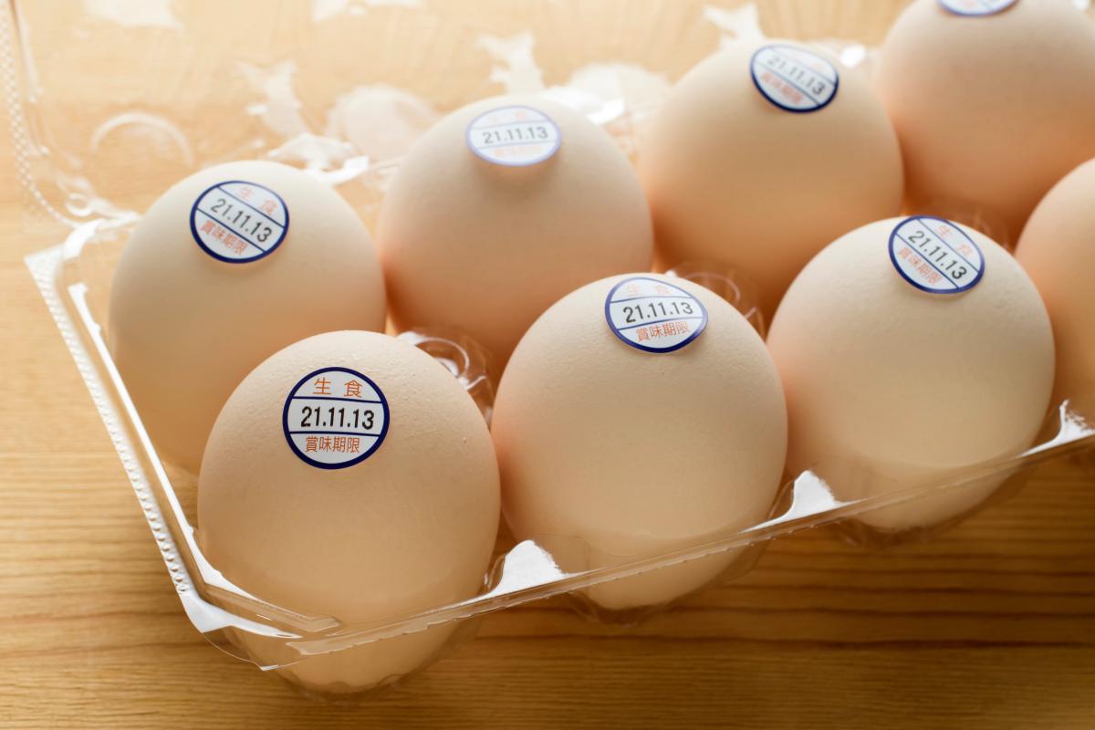 【2026年最新】卵高騰はいつまで? 1パック308円の理由と今後の見通しをデータで解説(栄養学の資格 栄養コンシェルジュ 監修)