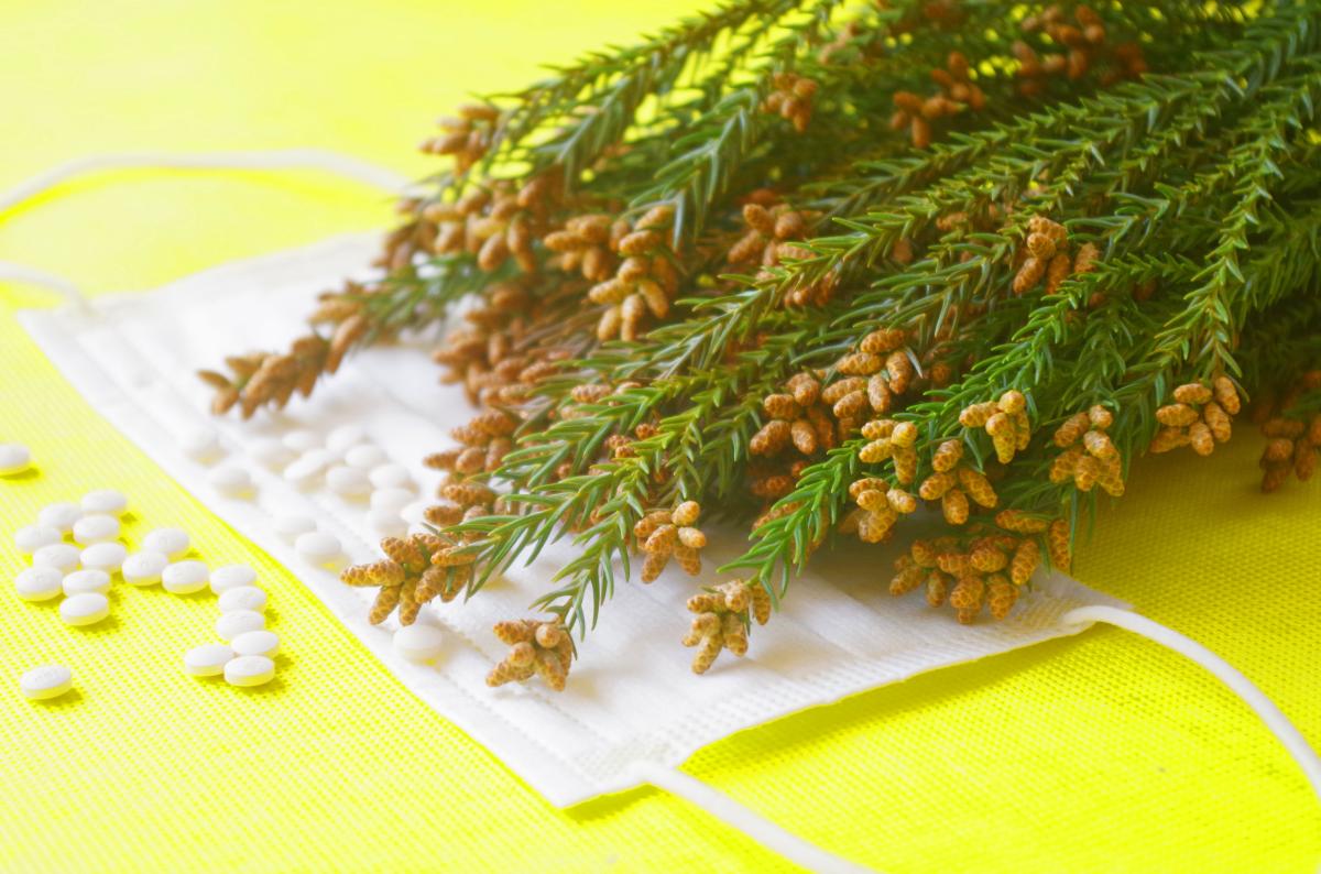 花粉症は体質の問題か? 医学博士・岩崎真宏が解説する「免疫×栄養」最新アプローチ|3/26 開催(栄養学の資格 栄養コンシェルジュ)