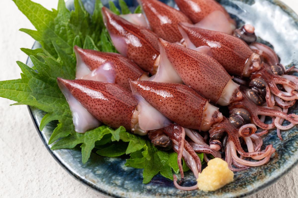 【ホタルイカの栄養成分】旬・主な産地・カロリーを食品成分表で解説 鉄・ビタミンB12が多い春の魚介類とは（栄養学の資格 栄養コンシェルジュ）
