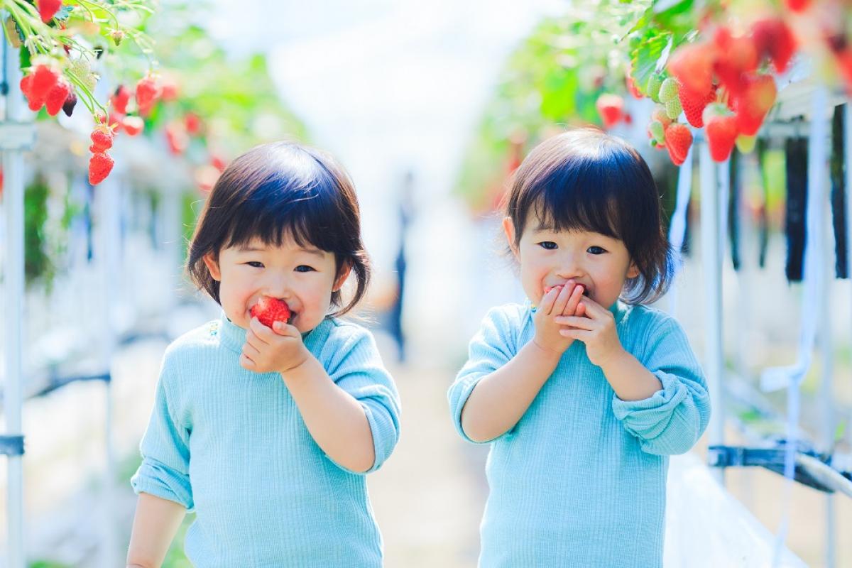子どもの花粉症が急増｜果物アレルギー（PFAS）との関係と免疫メカニズムを解説（栄養学の資格 栄養コンシェルジュ）