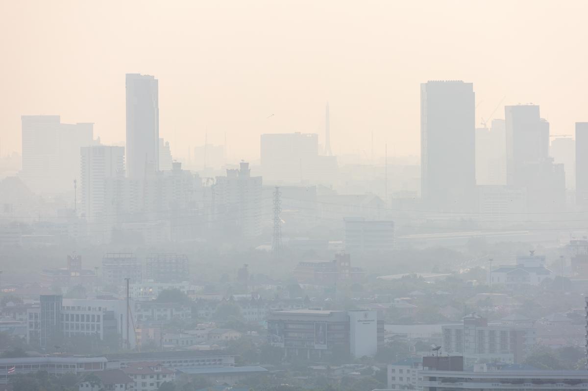 【PM2.5は皮膚にも影響する?】アジア約840万人の大規模研究が示した乾癬リスクと酸化ストレス・炎症の関係を医学・栄養学から解説(栄養コンシェルジュ)