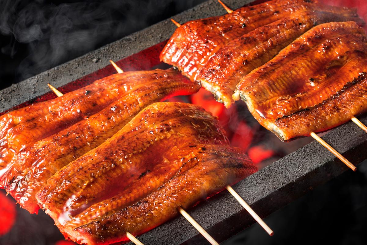 【土用の丑の日】うなぎは夏バテ対策になる？栄養成分・カロリー・食べ方を科学的に解説｜栄養コンシェルジュ