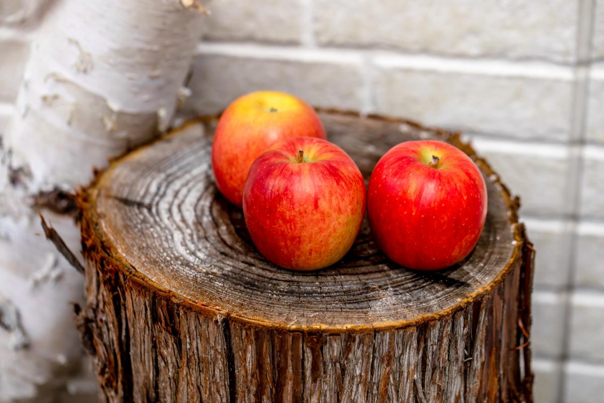 【管理栄養士監修】りんごの栄養｜3分でわかる栄養コンシェルジュとりんごの日に学ぶ栄養豆知識