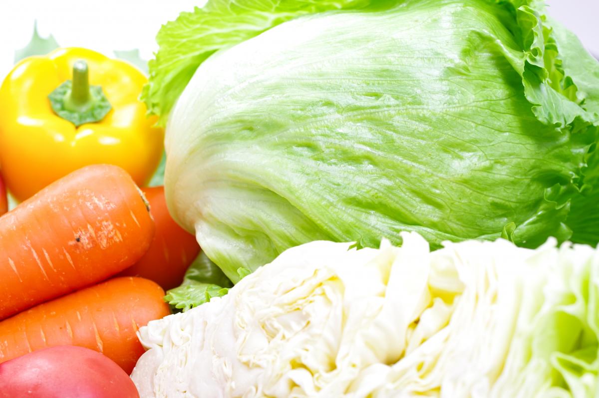 野菜の生育状況及び価格見通し（令和4年9月）について｜栄養コンシェルジュが届ける野菜にまつわる情報