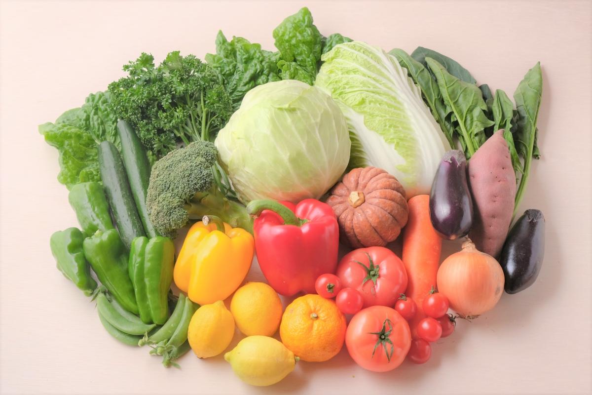 野菜の生育状況及び価格見通し（令和4年8月）について｜栄養コンシェルジュが届ける野菜にまつわる情報