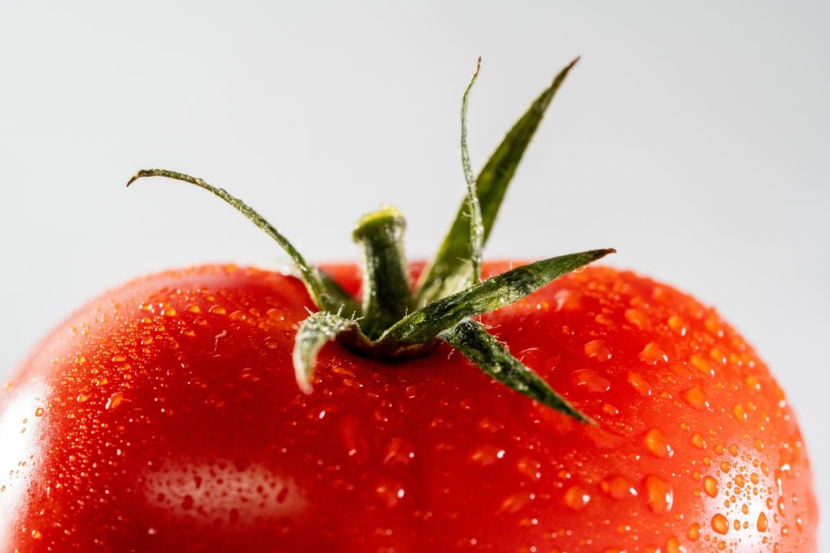 【管理 栄養士 監修】トマトの栄養｜5分でわかる栄養コンシェルジュとトマトの日に知る健康プチ知識
