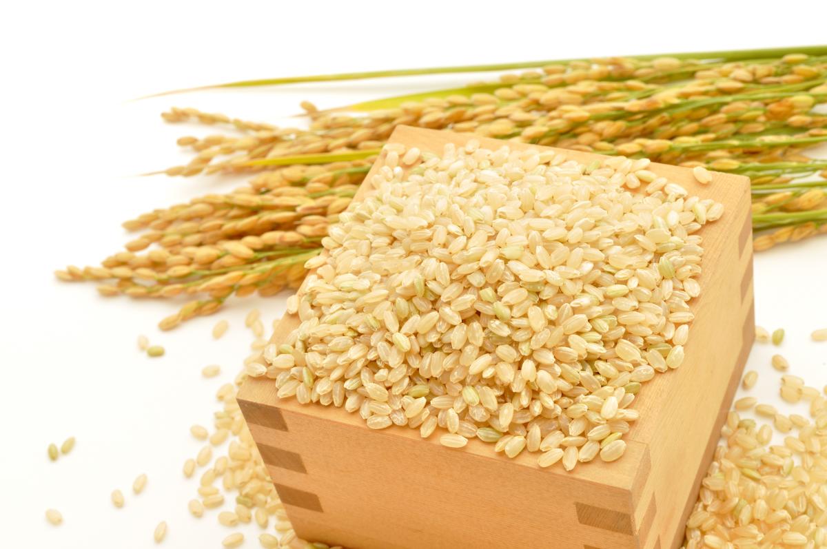 玄米の栄養、白米と玄米の違い、玄米食とダイエット、玄米の食物繊維量、γ（ガンマ）-オリザノールと肥満、玄米のデメリット・悪影響、栄養コンシェルジュの資格を持つ管理栄養士監修