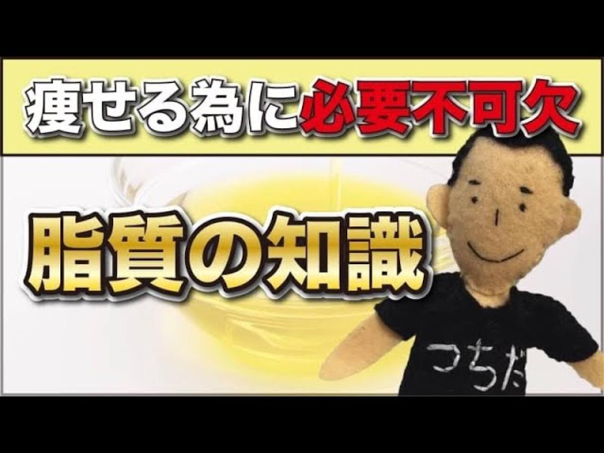 土田ゆうやさんがYouTubeにて「痩せる為に必要な脂質の知識」について配信されています！【栄養コンシェルジュ取得後のご活躍】